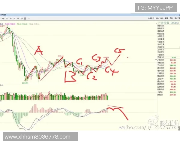 V5战队防守策略分析：优劣势与未来改进方向探讨
